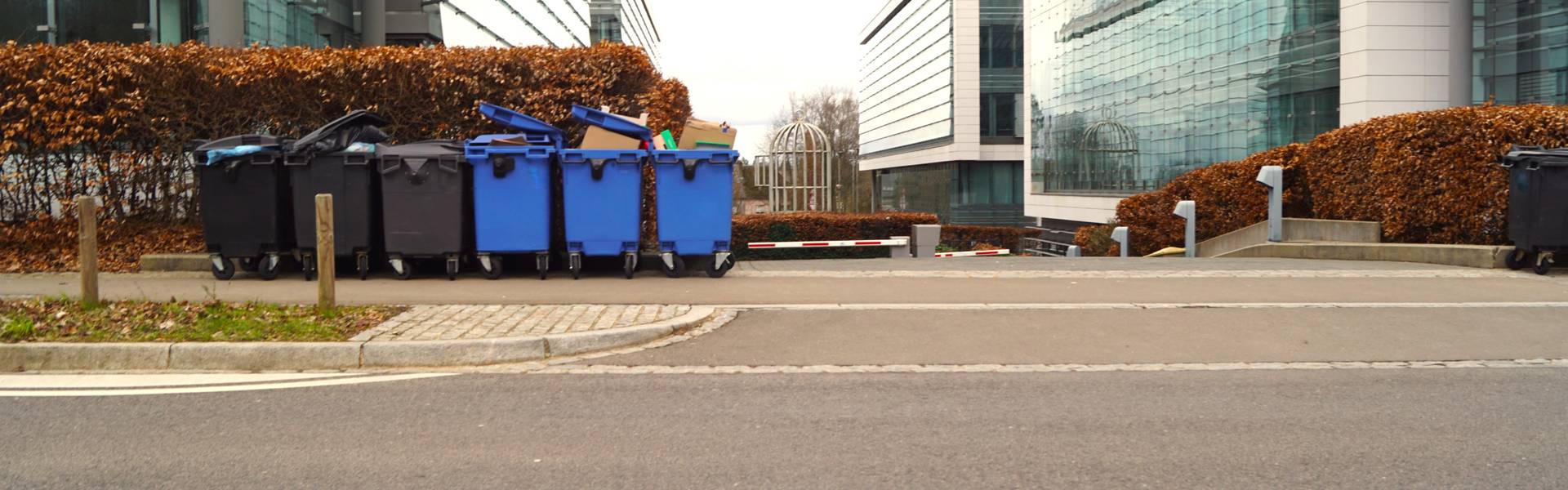 Commercial wheelie eurobins with color-coded recycling tags